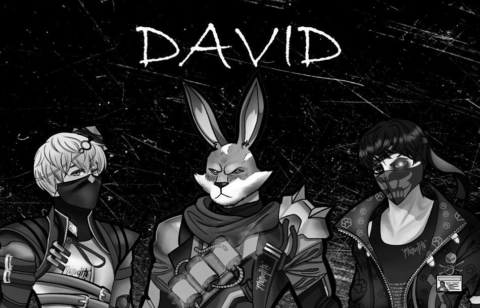 nombre de david para ff