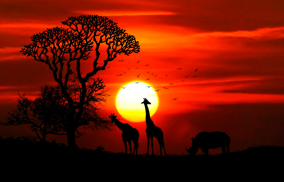 Atardecer en África