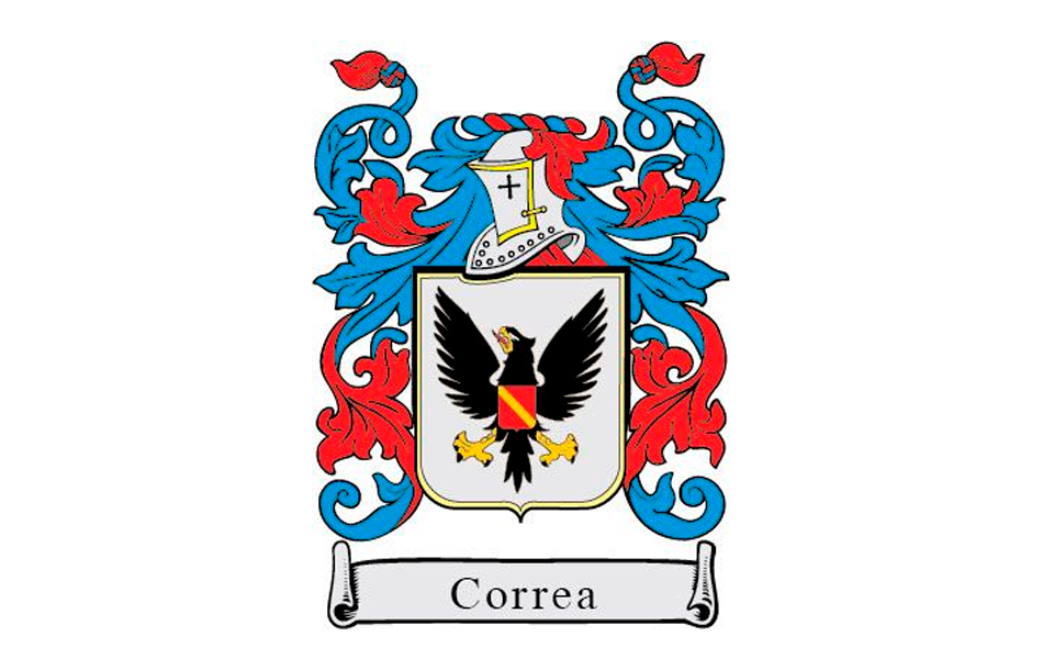 Escudo de correa